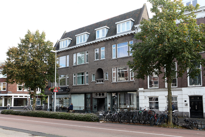 916013 Gezicht op de panden Biltstraat 113 - 113B te Utrecht.